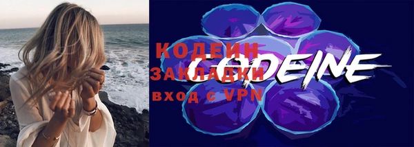 хмурый Арсеньев