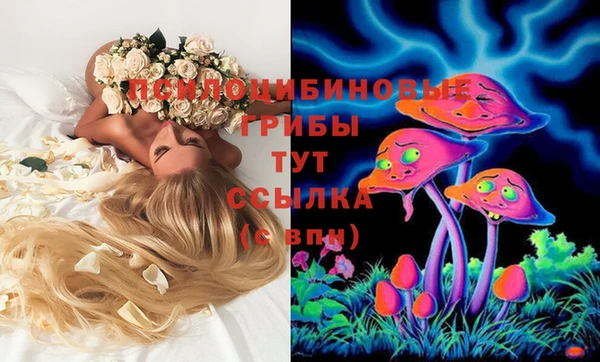 хмурый Арсеньев