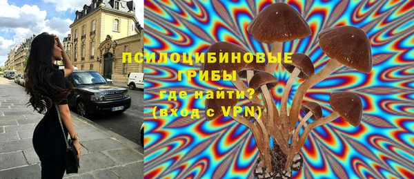 прущие крисы Аркадак