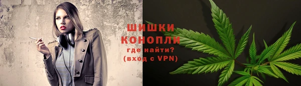 хмурый Арсеньев