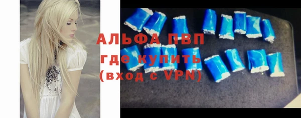 хмурый Арсеньев