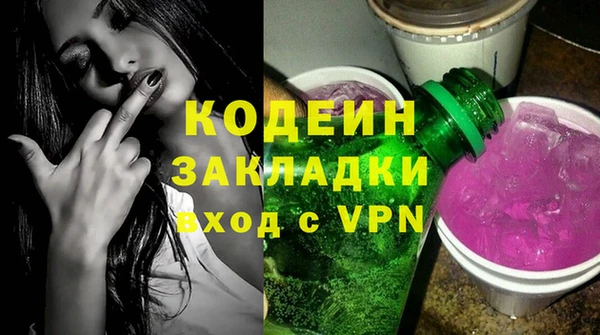 хмурый Арсеньев
