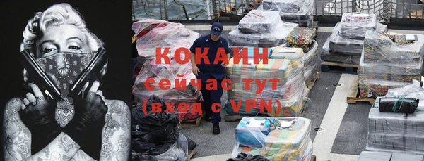 хмурый Арсеньев