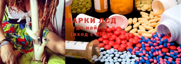 хмурый Арсеньев