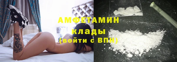 хмурый Арсеньев