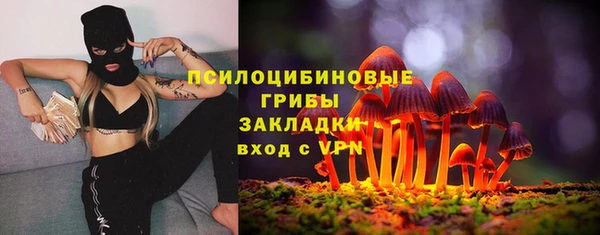 хмурый Арсеньев
