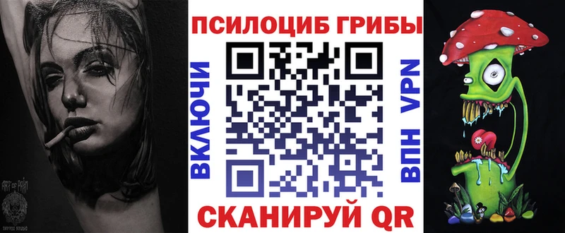 Галлюциногенные грибы прущие грибы  Спас-Деменск 
